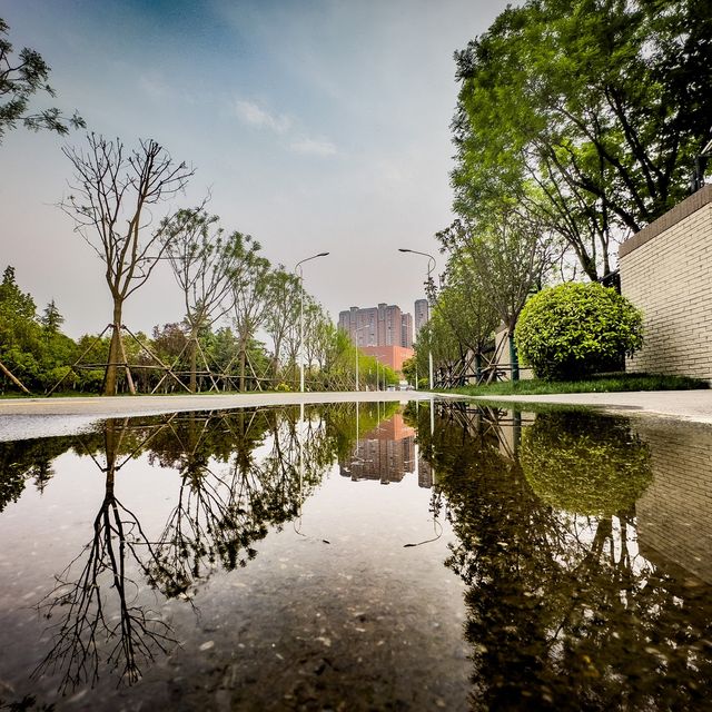 Trees and Reflections of Xi’an 