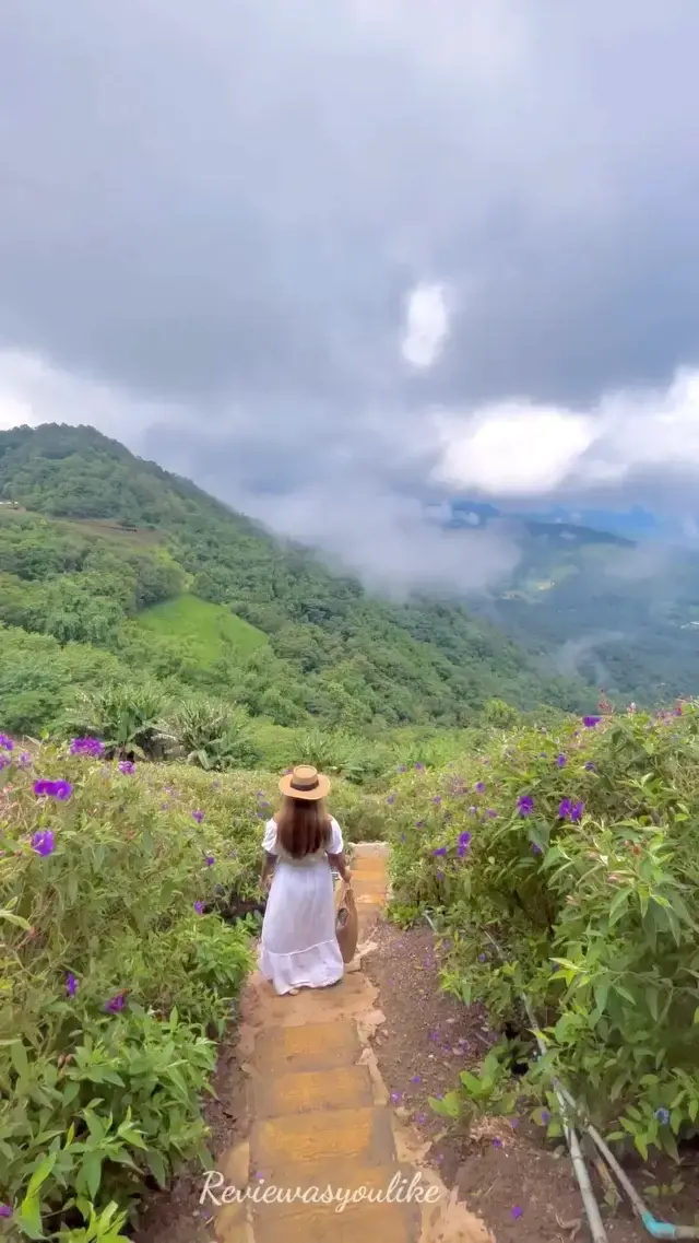 Một cảnh tượng ở Chiang Mai mà bạn không thể bỏ lỡ!