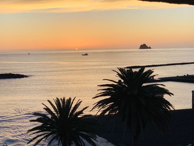 Internet-famous check-in spot | Izu Shichikashuku Coast, Shizuoka Prefecture