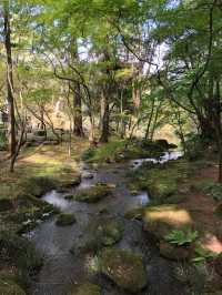 Japan Trip | Travel Guide to Narita Temple
