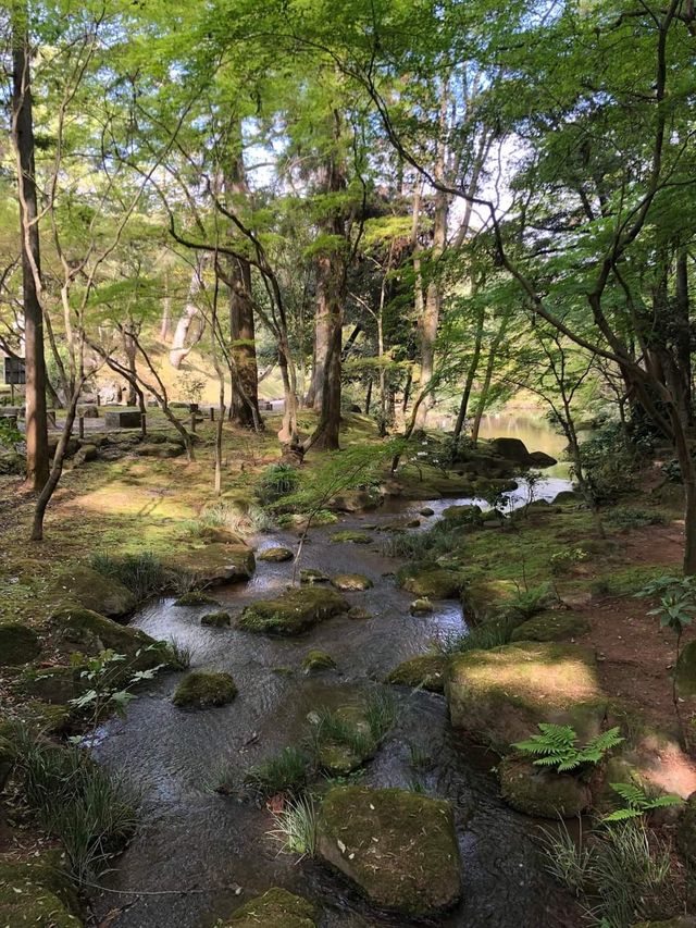 Japan Trip | Travel Guide to Narita Temple