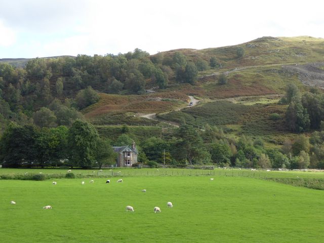 Scottish Loch Ness