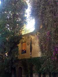 Stroll through the Royal Alcázar of Seville.