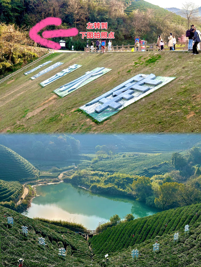 In the West Lake district, there are mountains ⛰️, water 💦, and tea fields 🍃 hidden within.