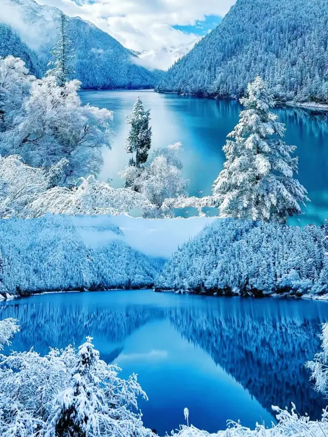 Family, it's snowing in Jiuzhaigou~ A fairyland on earth! Super healing