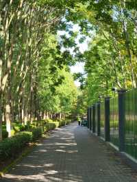 靈湖公園 吹著微風 享受這人世間獨一份的快樂