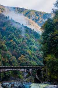 芦山的大深山裡的彩林秘境：大川河