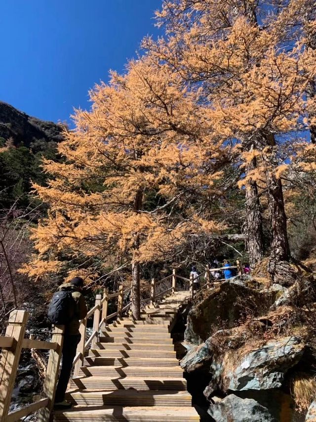 去完川西的後勁真的太大啦！懶人五天四夜詳細攻略