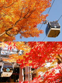 Your Guide to HAKONE ROPEWAY