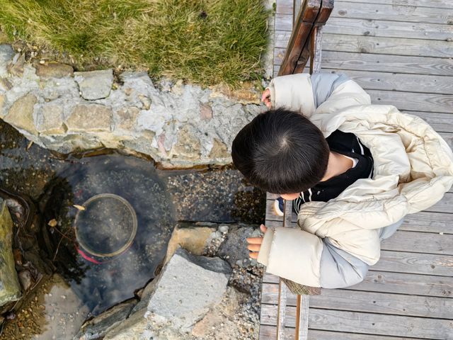 余姚必住親子民宿--遠喧廬