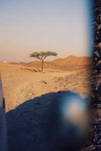 品沙漠紅茶，追逐一場撒哈拉的日落