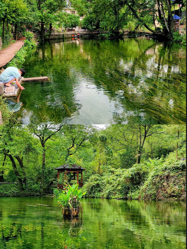 桂林全州小九寨沟|龍井遇見現實版綠野仙蹤推薦理由