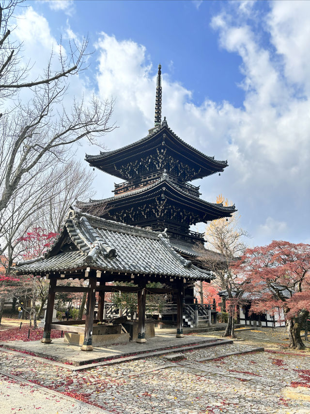 京都慢遊記