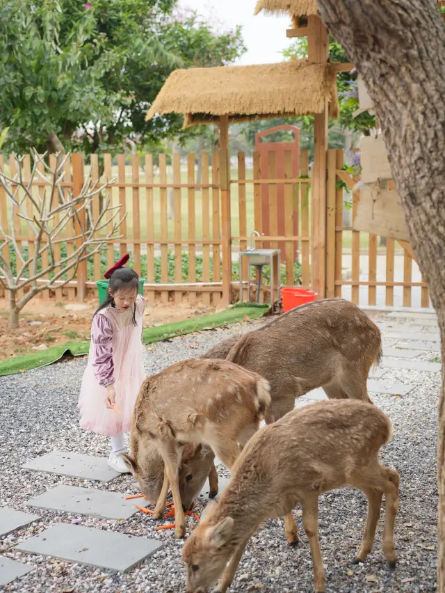 아기와 함께 떠나는 여행을 떠나자 | 광둥성 내부 여행