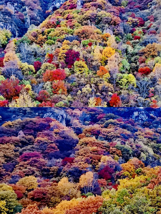 五彩斑斕看秋山｜百瑞谷
