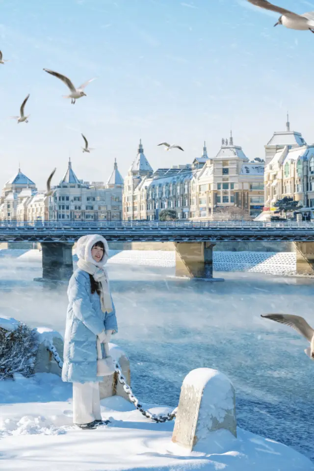 セーヌ川畔に行かなくても、雪の後の大連の星海広場はとても美しいです！