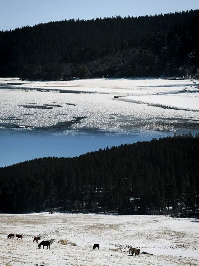 冬日寧靜的仙境：深度遊普達措國家公園