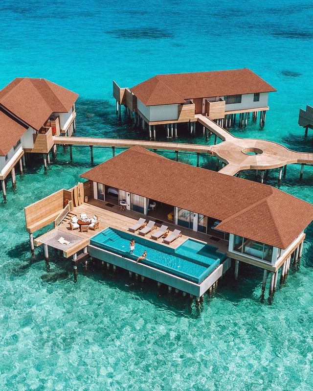 Discover Paradise on Earth at Avani Fares Maldives 🌴