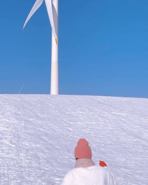 겨울 여행지 남바완❄☃ (+사진찍는 법)