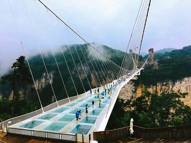 漫步透明玻璃橋，乘坐高空滑索，張家界大峽谷玩的就是心跳