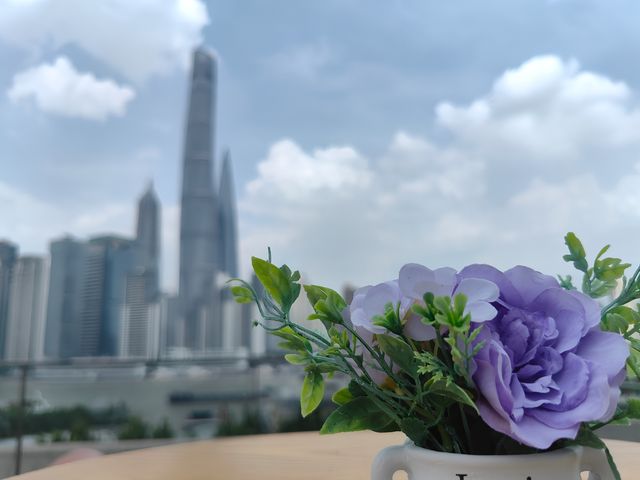 最浪漫的露台   七夕節快樂
