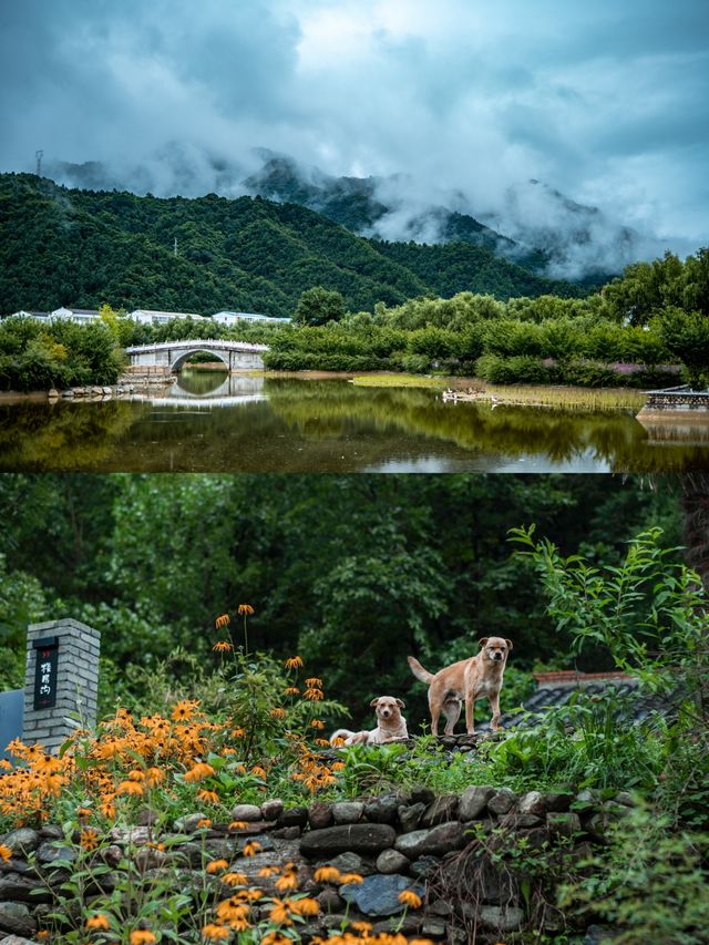 陝西|藏在秦嶺深處避世秘境絕美民宿