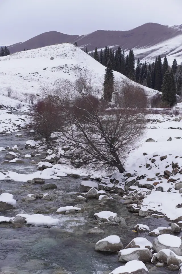 Traveling in Hanfu·Xinjiang Yili Edition