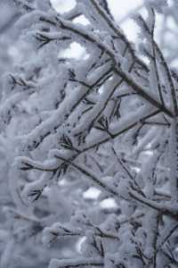 南方小土豆，被武功山雪景美翻