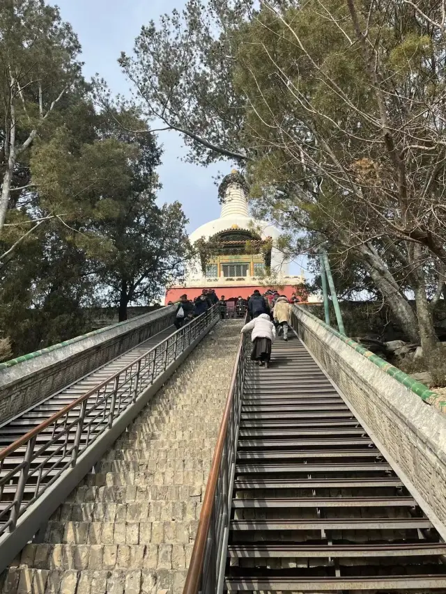 北海公園でリフレッシュしよう！