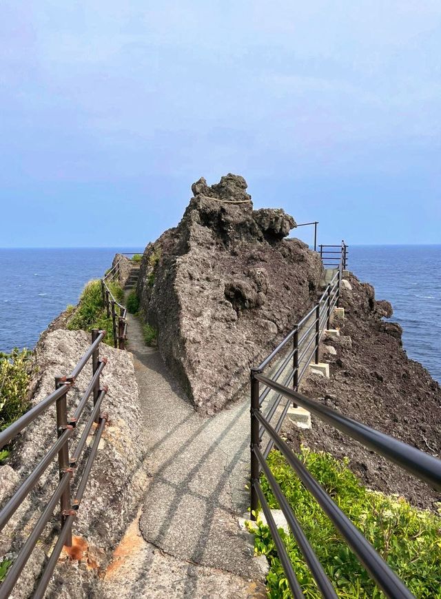 下田公園——沐浴在紫陽花的海洋！