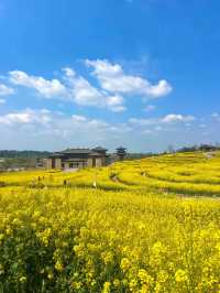 探索成都之美：成都雙流廣都博物館春日賞花之旅
