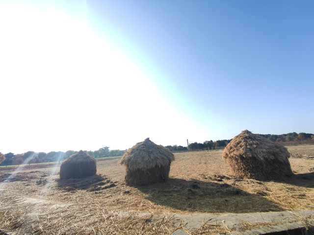 宰相府廣富林兩日遊