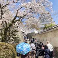 Magical Himeji castle