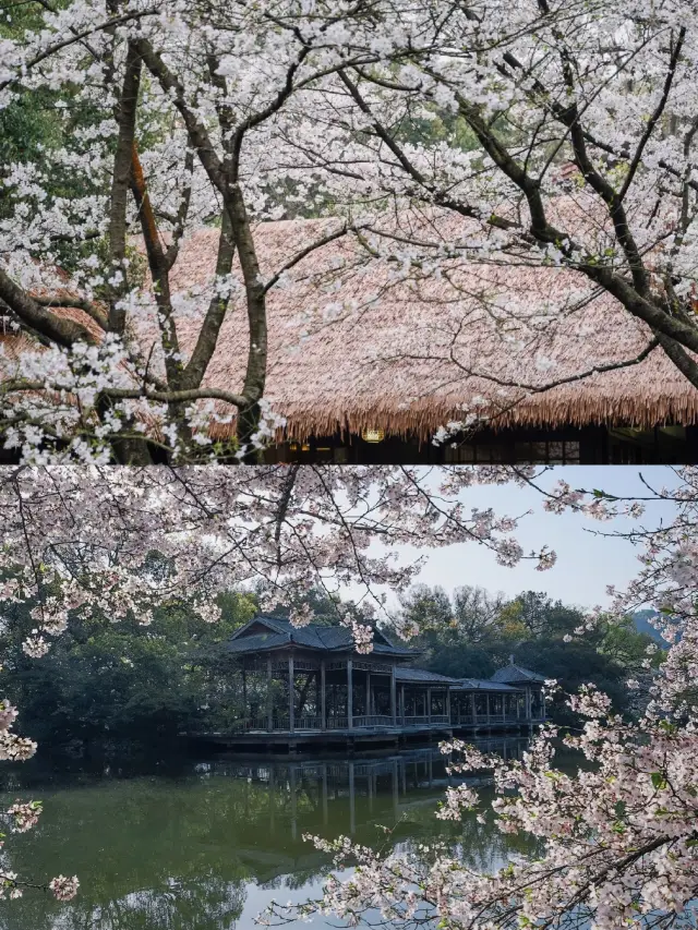 杭州旅行四季都適宜這些景點美食必打卡