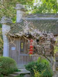 「公園20分鐘效應」是真的，與春花為伴