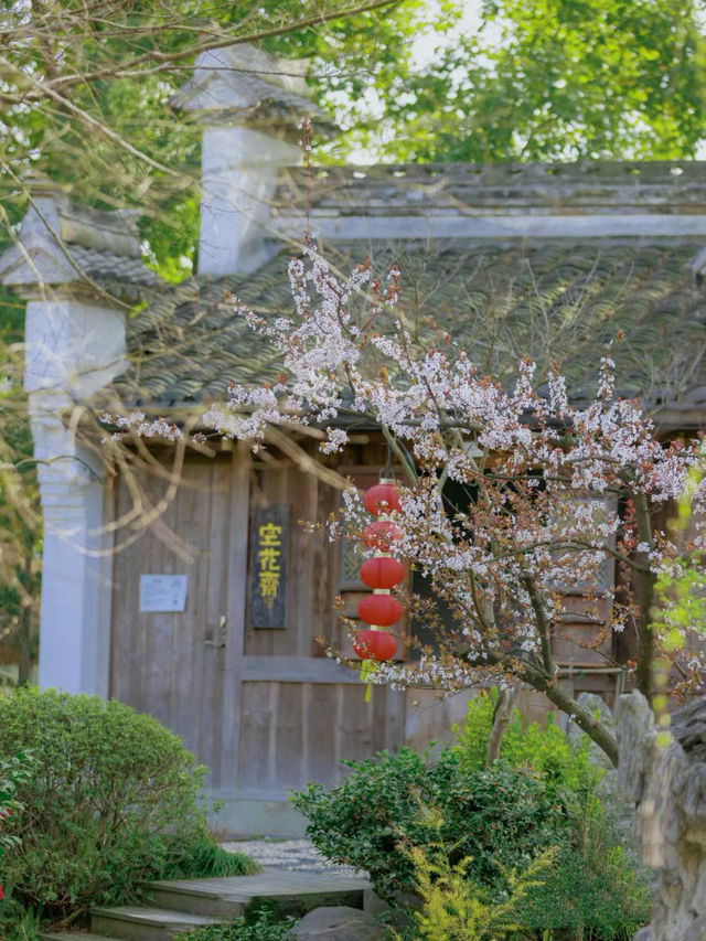 「公園20分鐘效應」是真的，與春花為伴