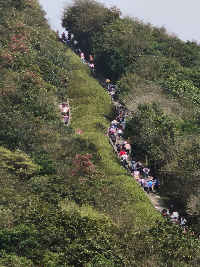 梧桐山別樣風景，帶上你的好友一起感受大自然的魅力