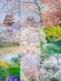 巔峰期TOP鼋頭渚已經終結了比賽(附攻略)