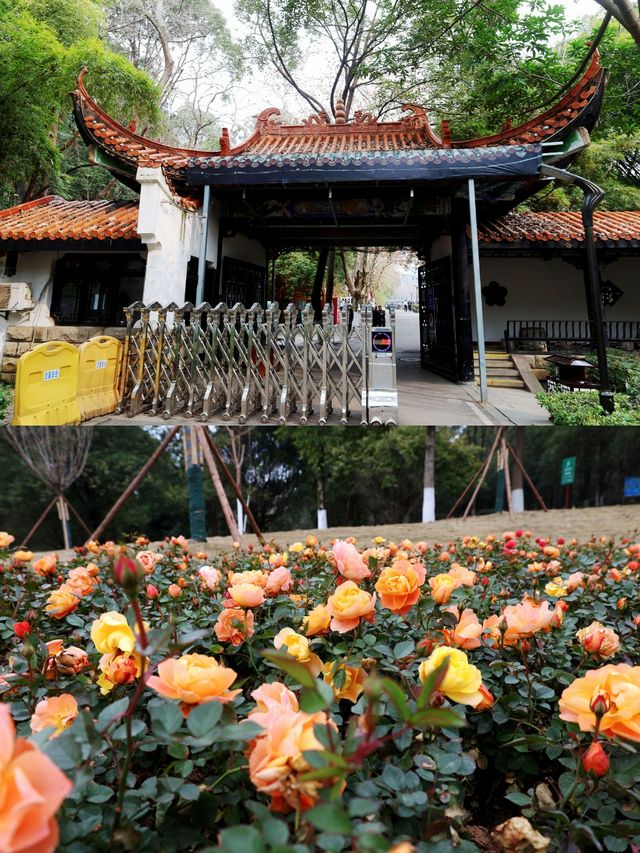 親近自然於德陽最大的郊野公園東湖山公園