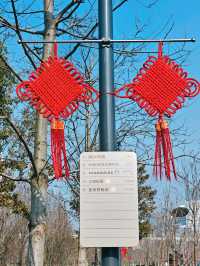世博文化公園將是魔都市區最大的生態公園