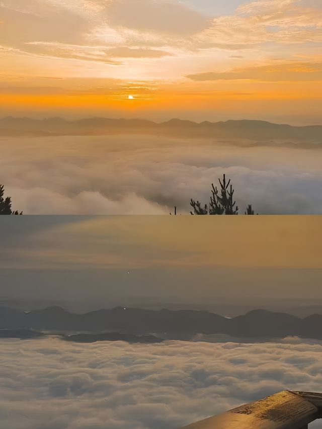 睡在雲端賞雲海～
