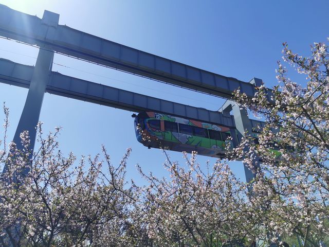 櫻花、海棠與空中列車 | 武漢西苑公園