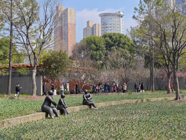 梅と桜が静安彫刻公園で出会います