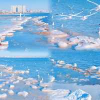 冬日限定•秦皇島3天2夜「凍海」旅行攻略