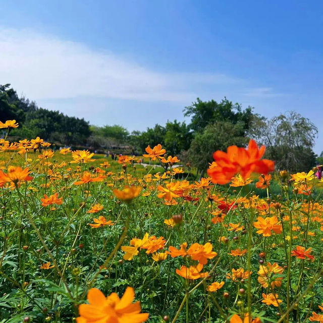 大宅的12時辰，是田園花海和山野清新空氣