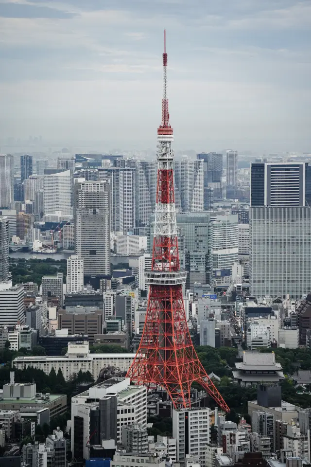 Tokyo after sunset is particularly suitable for photographing the Tokyo Tower