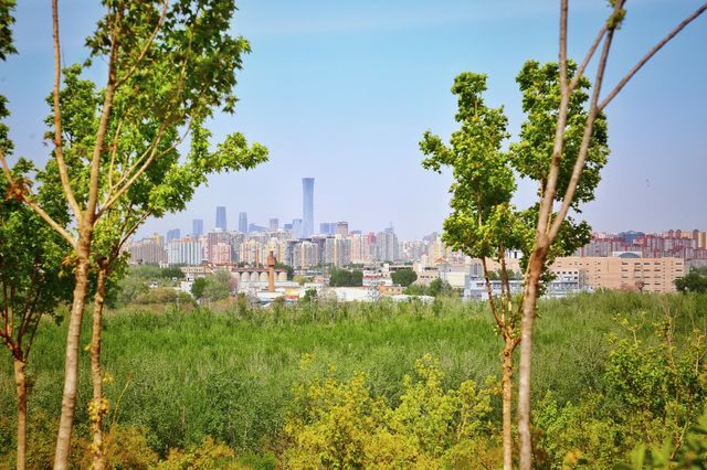 探秘比奧森更大的北京最大森林濕地公園！