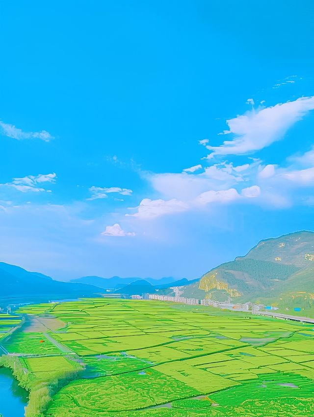 杭州油菜花海：金色海洋，心靈療癒之地！