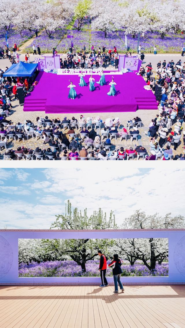 江蘇4月賞花必去三台山梨蘭會美到你不敢想像