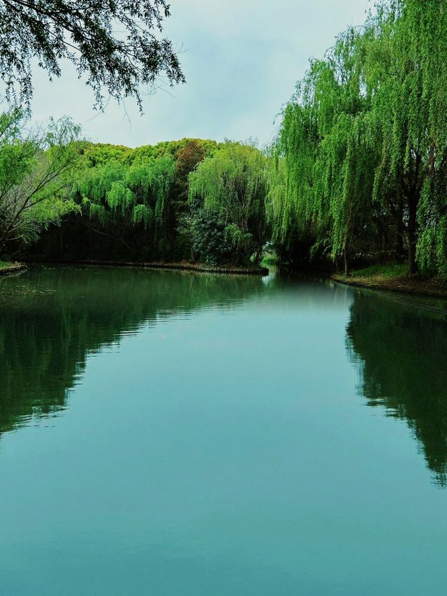 必去！同里國家濕地公園，陶醉在綠色天堂的攻略